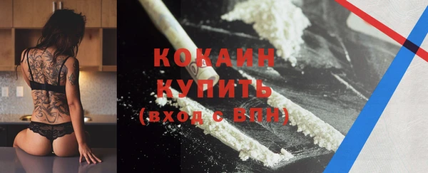 дживик Вязьма