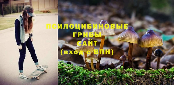 спиды Вязники