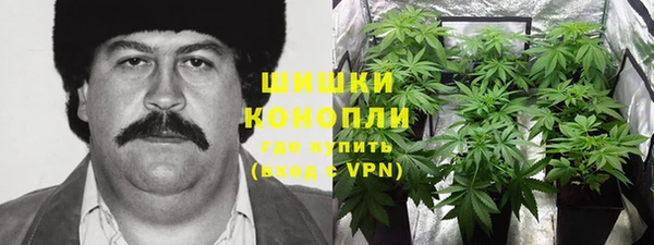 дживик Вязьма