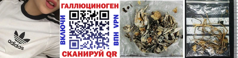 Псилоцибиновые грибы MAGIC MUSHROOMS  Купить  Мурино 